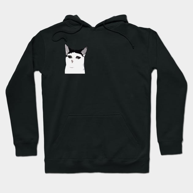 Sad Cat Meme Hoodie by vsock